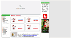 Desktop Screenshot of bbssoft.biz